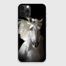 Чехол для iPhone 12 Pro Max с принтом Белая лошадь в Петрозаводске, Силикон |  | animal | beautiful | black | eyes | gloss | grace | harness | horse | look | mane | muzzle | strength | white | белая | взгляд | глаза | грация | грива | животное | конь | красивый | лоск | лошадь | сбруя | сила | скакун