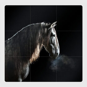Магнитный плакат 3Х3 с принтом Серный в яблоках конь в Петрозаводске, Полимерный материал с магнитным слоем | 9 деталей размером 9*9 см | animal | beautiful | black | eyes | gloss | harness | horse | look | muzzle | portrait | в яблоках | взгляд | глаза | животное | конь | красивый | лоск | лошадь | портрет | сбруя | серый | скакун