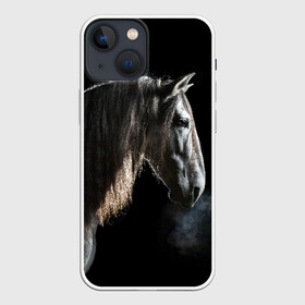 Чехол для iPhone 13 mini с принтом Серный в яблоках конь в Петрозаводске,  |  | animal | beautiful | black | eyes | gloss | harness | horse | look | muzzle | portrait | в яблоках | взгляд | глаза | животное | конь | красивый | лоск | лошадь | портрет | сбруя | серый | скакун