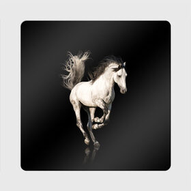 Магнит виниловый Квадрат с принтом Серный в яблоках конь в Петрозаводске, полимерный материал с магнитным слоем | размер 9*9 см, закругленные углы | animal | beautiful | black | gloss | horse | mane | mustang | muzzle | white | wild | белый | в яблоках | грива | дикий | животное | конь | красивый | лоск | лошадь | мустанг | серый | скакун | черный