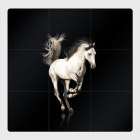Магнитный плакат 3Х3 с принтом Серный в яблоках конь в Петрозаводске, Полимерный материал с магнитным слоем | 9 деталей размером 9*9 см | animal | beautiful | black | gloss | horse | mane | mustang | muzzle | white | wild | белый | в яблоках | грива | дикий | животное | конь | красивый | лоск | лошадь | мустанг | серый | скакун | черный