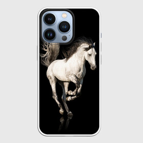 Чехол для iPhone 13 Pro с принтом Серный в яблоках конь в Петрозаводске,  |  | animal | beautiful | black | gloss | horse | mane | mustang | muzzle | white | wild | белый | в яблоках | грива | дикий | животное | конь | красивый | лоск | лошадь | мустанг | серый | скакун | черный