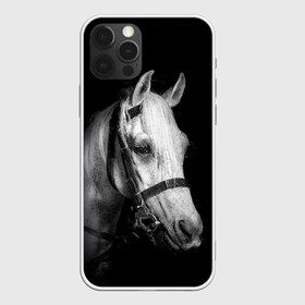 Чехол для iPhone 12 Pro Max с принтом Белая лошадь в Петрозаводске, Силикон |  | animal | beautiful | black | eyes | gloss | harness | horse | look | muzzle | white | белый | взгляд | глаза | животное | конь | красивый | лоск | лошадь | сбруя | скакун