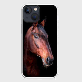 Чехол для iPhone 13 mini с принтом Гнедая лошадь в Петрозаводске,  |  | animal | beautiful | black | brown | chocolate | eyes | gloss | horse | look | muzzle | portrait | взгляд | глаза | животное | конь | коричневый | красивый | лоск | лошадь | портрет | скакун | черный | шоколадный