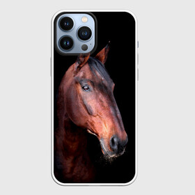 Чехол для iPhone 13 Pro Max с принтом Гнедая лошадь в Петрозаводске,  |  | animal | beautiful | black | brown | chocolate | eyes | gloss | horse | look | muzzle | portrait | взгляд | глаза | животное | конь | коричневый | красивый | лоск | лошадь | портрет | скакун | черный | шоколадный