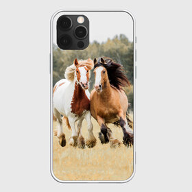 Чехол для iPhone 12 Pro Max с принтом Лошади в Петрозаводске, Силикон |  | Тематика изображения на принте: animal | free | horse | mane | nature | pair | polish | wild | грива | дикий | животное | конь | лоск | лошадь | пара | природа | свободный | скакун