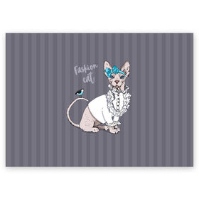 Поздравительная открытка с принтом Fashion cat в Петрозаводске, 100% бумага | плотность бумаги 280 г/м2, матовая, на обратной стороне линовка и место для марки
 | bird | bow | breed | cat | glamor | look | muzzle | sphinx | style | tail | бант | взгляд | гламур | кошка | порода | птица | стиль | сфинкс | хвост