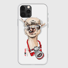 Чехол для iPhone 12 Pro Max с принтом #NoDrama в Петрозаводске, Силикон |  | alpaca | animal | camera | cool | drama | hashtag | head | inscription | llama | look | nodrama | photographer | альпака | взгляд | голова | драма | животное | камера | лама | надпись | очки | прикольный | фотоаппарат | фотограф | хэштег