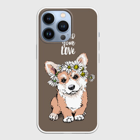 Чехол для iPhone 13 Pro с принтом I need your love в Петрозаводске,  |  | animal | breed | chamomile | cute | dog | flowers | funny | i need your love | inscription | puppy | welsh corgi pembroke | вельш корги пемброк | животное | забавный | любовь | милый | мне нужна твоя любовь | надпись | порода | ромашки | собака | цв