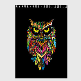 Скетчбук с принтом Сова в Петрозаводске, 100% бумага
 | 48 листов, плотность листов — 100 г/м2, плотность картонной обложки — 250 г/м2. Листы скреплены сверху удобной пружинной спиралью | art | background | big | bird | black | drawing | eyes | multicolored | owl | sight | symbol | wisdom | большие | взгляд | глаза | искусство | мудрость | птица | разноцветный | рисунок | символ | сова | филин | фон | черный