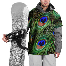 Накидка на куртку 3D с принтом Перья павлина #1 в Петрозаводске, 100% полиэстер |  | animal | bird | peacock feathers | животные | павлин | перо. | перья | птица