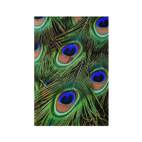 Обложка для паспорта матовая кожа с принтом Перья павлина #1 в Петрозаводске, натуральная матовая кожа | размер 19,3 х 13,7 см; прозрачные пластиковые крепления | animal | bird | peacock feathers | животные | павлин | перо. | перья | птица