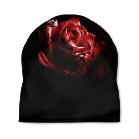 Шапка 3D с принтом Кровавая роза в Петрозаводске, 100% полиэстер | универсальный размер, печать по всей поверхности изделия | брызги | кровавая роза | кровь | роза | цветы