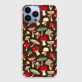 Чехол для iPhone 13 Pro Max с принтом Грибы в Петрозаводске,  |  | art | beautiful | drawing | mushrooms | poisonous | pop art | toadstools | грибы | искусство | красивые | мухоморы | поганки | поп   арт | рисунок | ядовитые