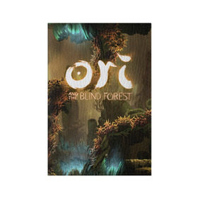 Обложка для паспорта матовая кожа с принтом Ori and the Blind Forest в Петрозаводске, натуральная матовая кожа | размер 19,3 х 13,7 см; прозрачные пластиковые крепления | blind forest | ori | sein | белка | гумо | кошка | куро | лиса | нару | непроглядный лес | ори | платформер | птенец | сейн | сова