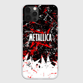 Чехол для iPhone 12 Pro Max с принтом METALLICA в Петрозаводске, Силикон |  | matters metallica | metallica | metallica else | metallica nothing | metallicas metallica | nothing else | металлика | металлика.