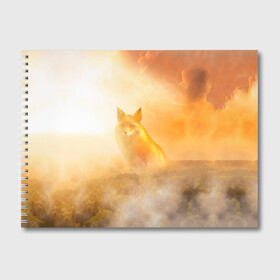 Альбом для рисования с принтом Лисичка в тумане в Петрозаводске, 100% бумага
 | матовая бумага, плотность 200 мг. | Тематика изображения на принте: animals | forest | fox | арт | животное | лес | лиса | лисичка | облака | рисунок | рыжая лиса | туман