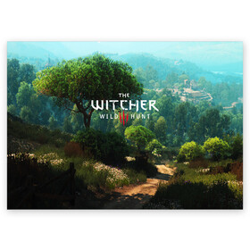 Поздравительная открытка с принтом THE WITCHER 3:WILD HUNT в Петрозаводске, 100% бумага | плотность бумаги 280 г/м2, матовая, на обратной стороне линовка и место для марки
 | Тематика изображения на принте: cd projekt red | ciri | game | geralt | geralt of rivia | gwynbleidd | the witcher | the witcher 3: wild hunt | ведьмак | ведьмак 3: дикая охота | геральт | геральт из ривии | цири | цирилла