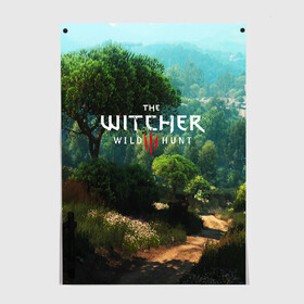 Постер с принтом THE WITCHER 3:WILD HUNT в Петрозаводске, 100% бумага
 | бумага, плотность 150 мг. Матовая, но за счет высокого коэффициента гладкости имеет небольшой блеск и дает на свету блики, но в отличии от глянцевой бумаги не покрыта лаком | cd projekt red | ciri | game | geralt | geralt of rivia | gwynbleidd | the witcher | the witcher 3: wild hunt | ведьмак | ведьмак 3: дикая охота | геральт | геральт из ривии | цири | цирилла