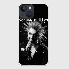 Чехол для iPhone 13 mini с принтом Король и Шут + Анархия (спина) в Петрозаводске,  |  | Тематика изображения на принте: киш | король и шут | михаил горшенев