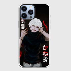 Чехол для iPhone 13 Pro Max с принтом Токийский Гуль (JAP_STYLE) в Петрозаводске,  |  | anime | ghoul | manga | tokyo | tokyo ghoul | аниме | гуль | канеки | кровь | манга | токийский гуль | токио