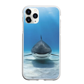 Чехол для iPhone 11 Pro матовый с принтом Анфас в Петрозаводске, Силикон |  | bottom | fin | full face | jaw | ocean | sand | shark | water | акула | анфас | вода | дно | океан | песок | плавник