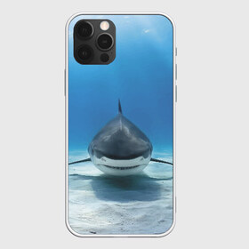 Чехол для iPhone 12 Pro Max с принтом Анфас в Петрозаводске, Силикон |  | bottom | fin | full face | jaw | ocean | sand | shark | water | акула | анфас | вода | дно | океан | песок | плавник