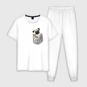 Мужская пижама хлопок с принтом Мопс в кармане в Петрозаводске, 100% хлопок | брюки и футболка прямого кроя, без карманов, на брюках мягкая резинка на поясе и по низу штанин
 | Тематика изображения на принте: pug | карман | карманный мопс | малыш | милый | мопс | пес | песик | собака | собачка