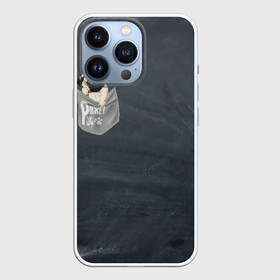 Чехол для iPhone 13 Pro с принтом Карманный мопс в Петрозаводске,  |  | pug | карман | карманный мопс | малыш | милый | мопс | пес | песик | собака | собачка