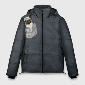 Мужская зимняя куртка 3D с принтом Карманный мопс в Петрозаводске, верх — 100% полиэстер; подкладка — 100% полиэстер; утеплитель — 100% полиэстер | длина ниже бедра, свободный силуэт Оверсайз. Есть воротник-стойка, отстегивающийся капюшон и ветрозащитная планка. 

Боковые карманы с листочкой на кнопках и внутренний карман на молнии. | pug | карман | карманный мопс | малыш | милый | мопс | пес | песик | собака | собачка