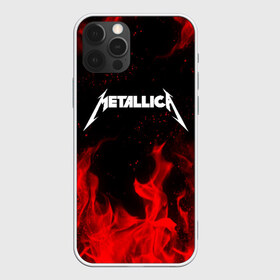 Чехол для iPhone 12 Pro Max с принтом METALLICA (НА СПИНЕ) в Петрозаводске, Силикон |  | Тематика изображения на принте: fire | flame | metallica | металлика | огонь | пламя