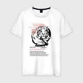 Мужская футболка хлопок с принтом Amur tiger в Петрозаводске, 100% хлопок | прямой крой, круглый вырез горловины, длина до линии бедер, слегка спущенное плечо. | animals | red book | red list | животные | животные из красной книги | красная книга | редкие животные