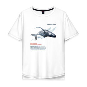 Мужская футболка хлопок Oversize с принтом Hampback whale в Петрозаводске, 100% хлопок | свободный крой, круглый ворот, “спинка” длиннее передней части | animals | red book | red list | животные | животные из красной книги | красная книга | редкие животные