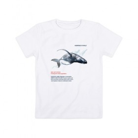 Детская футболка хлопок с принтом Hampback whale в Петрозаводске, 100% хлопок | круглый вырез горловины, полуприлегающий силуэт, длина до линии бедер | animals | red book | red list | животные | животные из красной книги | красная книга | редкие животные