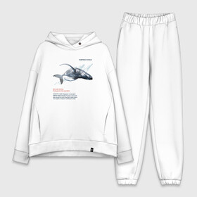 Женский костюм хлопок Oversize с принтом Hampback whale в Петрозаводске,  |  | animals | red book | red list | животные | животные из красной книги | красная книга | редкие животные