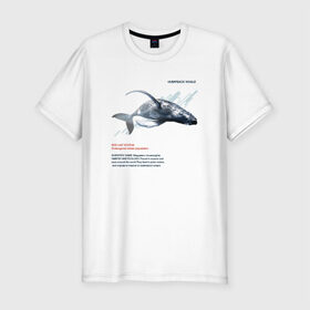 Мужская футболка премиум с принтом Hampback whale в Петрозаводске, 92% хлопок, 8% лайкра | приталенный силуэт, круглый вырез ворота, длина до линии бедра, короткий рукав | animals | red book | red list | животные | животные из красной книги | красная книга | редкие животные