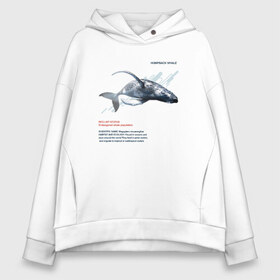 Женское худи Oversize хлопок с принтом Hampback whale в Петрозаводске, френч-терри — 70% хлопок, 30% полиэстер. Мягкий теплый начес внутри —100% хлопок | боковые карманы, эластичные манжеты и нижняя кромка, капюшон на магнитной кнопке | animals | red book | red list | животные | животные из красной книги | красная книга | редкие животные