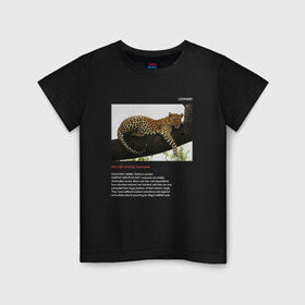 Детская футболка хлопок с принтом Leopard в Петрозаводске, 100% хлопок | круглый вырез горловины, полуприлегающий силуэт, длина до линии бедер | animals | red book | red list | животные | животные из красной книги | красная книга | редкие животные