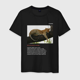 Мужская футболка хлопок с принтом Leopard в Петрозаводске, 100% хлопок | прямой крой, круглый вырез горловины, длина до линии бедер, слегка спущенное плечо. | animals | red book | red list | животные | животные из красной книги | красная книга | редкие животные