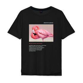 Мужская футболка хлопок Oversize с принтом Greater Flamingo в Петрозаводске, 100% хлопок | свободный крой, круглый ворот, “спинка” длиннее передней части | animals | red book | red list | животные | животные из красной книги | красная книга | редкие животные | фламинго