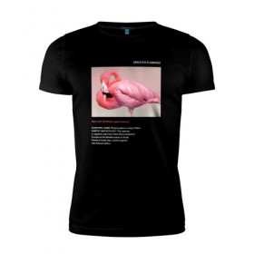 Мужская футболка премиум с принтом Greater Flamingo в Петрозаводске, 92% хлопок, 8% лайкра | приталенный силуэт, круглый вырез ворота, длина до линии бедра, короткий рукав | animals | red book | red list | животные | животные из красной книги | красная книга | редкие животные | фламинго
