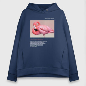 Женское худи Oversize хлопок с принтом Greater Flamingo в Петрозаводске, френч-терри — 70% хлопок, 30% полиэстер. Мягкий теплый начес внутри —100% хлопок | боковые карманы, эластичные манжеты и нижняя кромка, капюшон на магнитной кнопке | animals | red book | red list | животные | животные из красной книги | красная книга | редкие животные | фламинго