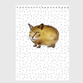 Скетчбук с принтом ЧИЛИПИ*ДРИК в Петрозаводске, 100% бумага
 | 48 листов, плотность листов — 100 г/м2, плотность картонной обложки — 250 г/м2. Листы скреплены сверху удобной пружинной спиралью | internet | meme | memes | pikabu | интернет | картофель | картошка | киса | киска | кот | котенок | котик | коты | котята | кошки | мем | мемас | мемасы | мемы | пикабу | прикол | приколы | чикибряк | шутка | юмор