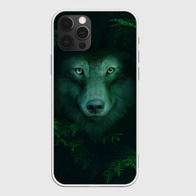 Чехол для iPhone 12 Pro Max с принтом Сибирь Лесной волк в Петрозаводске, Силикон |  | Тематика изображения на принте: safesibiria | siberia | алтай | волк | дикий | елки | ель | лес | охота | сибирь | сибирь горит | сибирьгорит | спаситесибирь | тайга | шерегеш | экология