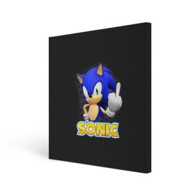 Холст квадратный с принтом Sonic в Петрозаводске, 100% ПВХ |  | hedgehog | metal sonic | silver | silver the hedgehog | sonic | sonic boom | sonic the hedgehog | еж | ёж сонник | ежик | игры | соник | фильмы