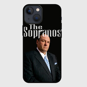 Чехол для iPhone 13 mini с принтом Клан сопрано в Петрозаводске,  |  | soprano | the sopranos | дэвид чейз | криминальная драма