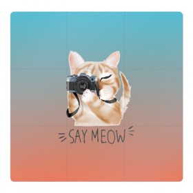 Магнитный плакат 3Х3 с принтом Say Meow в Петрозаводске, Полимерный материал с магнитным слоем | 9 деталей размером 9*9 см | Тематика изображения на принте: meow | кот | котенок | котик | котики | котятка | кошка | мяу | скажи мяу | фотоаппарат | фотограф