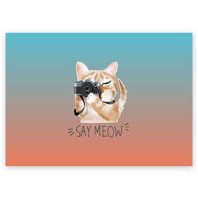 Поздравительная открытка с принтом Say Meow в Петрозаводске, 100% бумага | плотность бумаги 280 г/м2, матовая, на обратной стороне линовка и место для марки
 | meow | кот | котенок | котик | котики | котятка | кошка | мяу | скажи мяу | фотоаппарат | фотограф