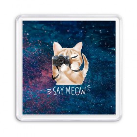 Магнит 55*55 с принтом Say Meow в Петрозаводске, Пластик | Размер: 65*65 мм; Размер печати: 55*55 мм | meow | кот | котенок | котик | котики | котятка | кошка | мяу | скажи мяу | фотоаппарат | фотограф