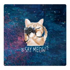 Магнитный плакат 3Х3 с принтом Say Meow в Петрозаводске, Полимерный материал с магнитным слоем | 9 деталей размером 9*9 см | meow | кот | котенок | котик | котики | котятка | кошка | мяу | скажи мяу | фотоаппарат | фотограф